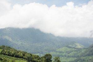 Beautiful landscape on the way to Munnar from Aluva by bus.