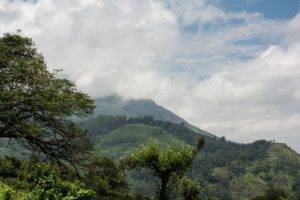 Beautiful landscape on the way to Munnar from Aluva by bus.