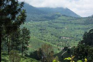 Beautiful landscape on the way to Munnar from Aluva by bus.