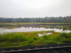 God's Own Country - Beautiful Kerala