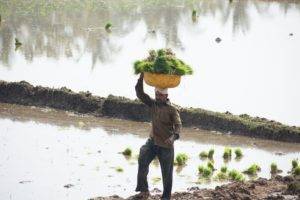 A local farmer - Bangalore Goa Road Trip