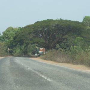 The road from Murudeshwar to Gokarna